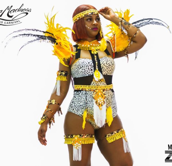 Euphoria Madness Mama Africa Backline $250 Bahamas Carnival May 1-3