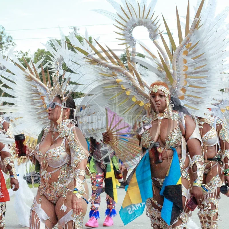 The Unwavering Spirit of the Miami Carnival 2025 Parade of Bands Agency by PlayMas.Today