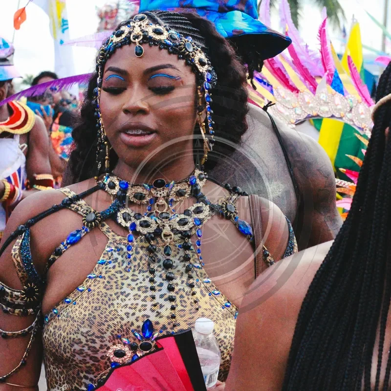 Miami Carnival: Friction & Mas
