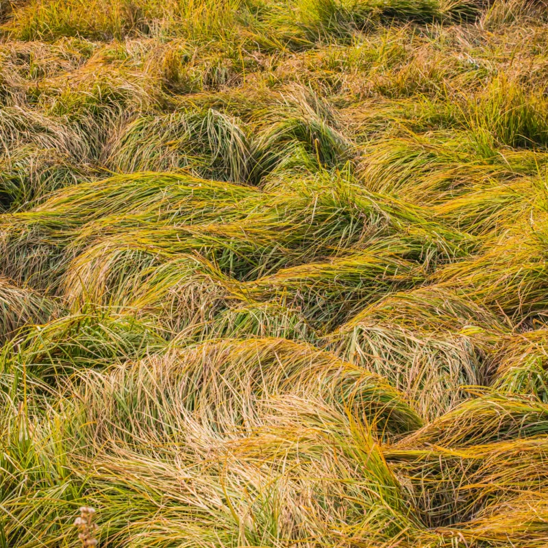 Think the islands are an escape from US chaos? Think again. Our political and economic turmoil is already crippling Caribbean jobs and tourism security.