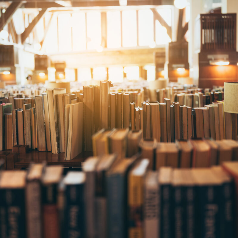 Conceptual image of vast library bookshelves representing the PlayMas.Today Knowledge Base and the preservation of Caribbean cultural architecture.