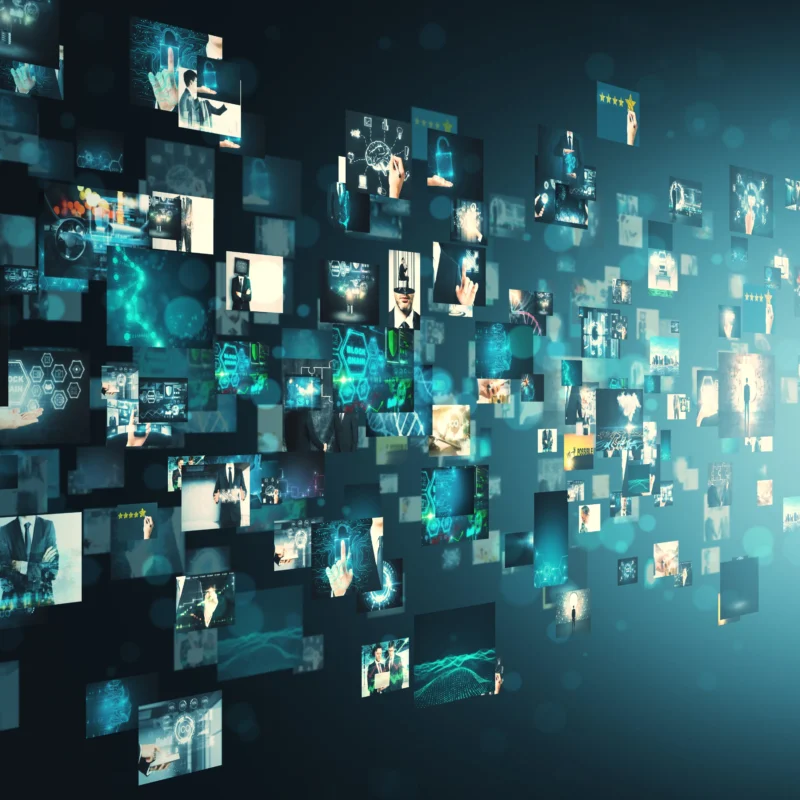 Expansive digital media archive and picture gallery representing high-fidelity cultural infrastructure and diaspora content retention.